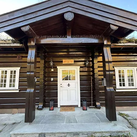 Log At Hafjell Øyer