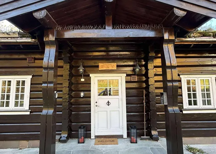 Log At Hafjell Øyer